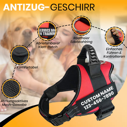 Personalisierbares Anti-Zug Hundegeschirr | Verstellbar & Hochwertig | für Kleine & Große Hunde