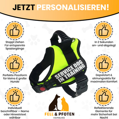 Personalisierbares Anti-Zug Hundegeschirr | Verstellbar & Hochwertig | für Kleine & Große Hunde